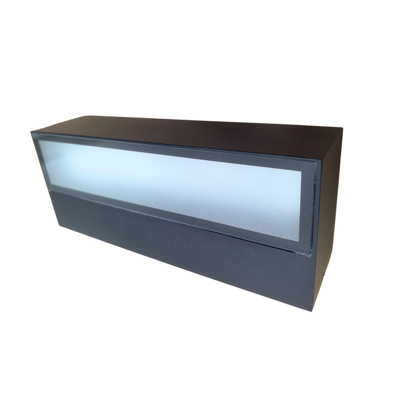 Exterior Wall Mount W12 12W IP65 Down LED Light