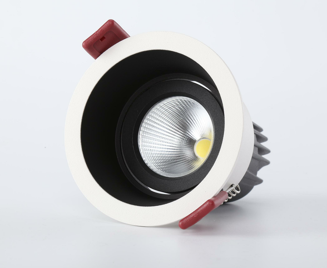 D203-7 70mm Adjustable LED Downlight 12W
